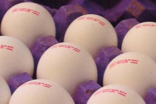 گرانی تخم مرغ ناشی از ضعف دستگاههای نظارتی است