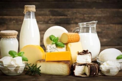 قیمت لبنیات ۱۵ سال ثابت می ماند اگر خوراک با نرخ مناسب تأمین شود!
