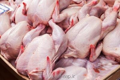 واردات تخم مرغ نطفه دار و مرغ منجمد برای كنترل بازار