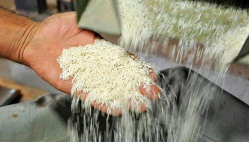 واردات برنج از 15 آذر ازسر گرفته می شود