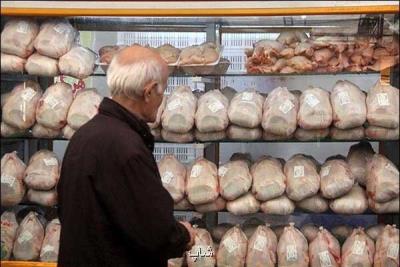 تولید مرغ افزایش پیدا کرد، کاهش قیمت تخم مرغ