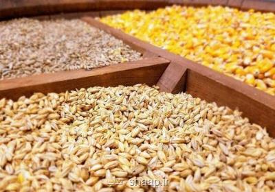 بالا گرفتن انتقادات از عدم تأمین ارز برای واردات کالاهای اساسی
