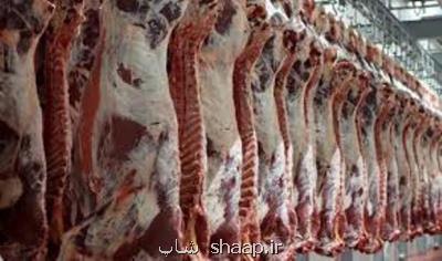 چالش افزایش قیمت گوشت