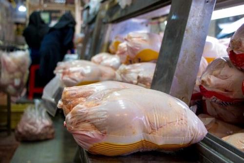 قیمت مرغ نسبت به روز گذشته ثابت ماند