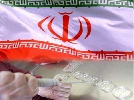 اجرایی شدن طرحی برای پشتیبانی از اشتغال تخصصی در شرکت های نانویی