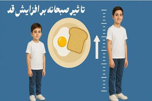 چه صبحانه ای برای رشد قد مفید است؟