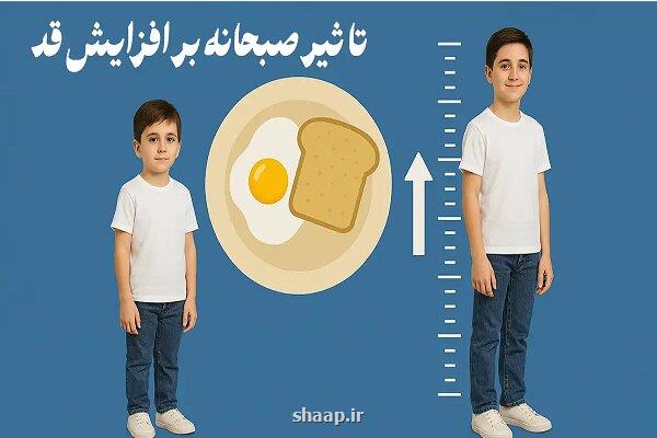 چه صبحانه ای برای رشد قد مفید است؟