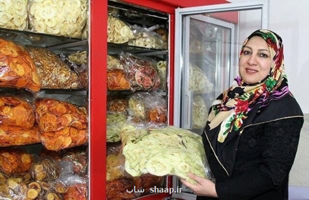 شرط دریافت وام ۴ میلیارد تومانی مشاغل خانگی