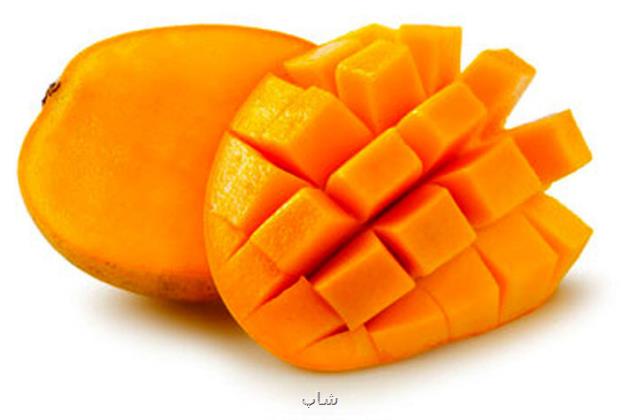 ثبت سفارش انبه تا ۱۰ خرداد ممنوعست