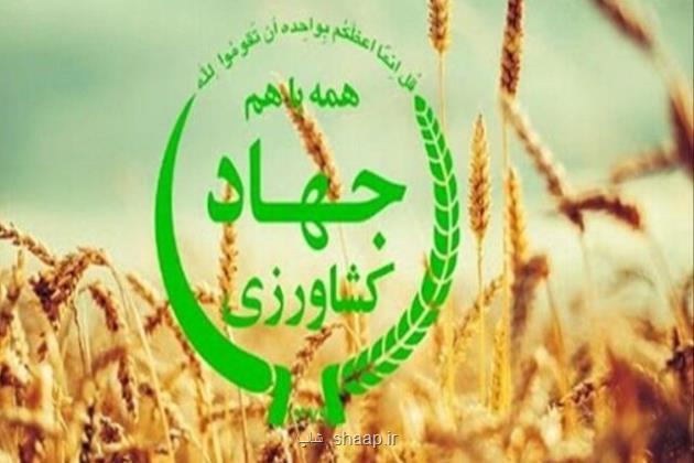 معاون وزیر جهاد کشاورزی: بخش کشاورزی تشنه سرمایه است