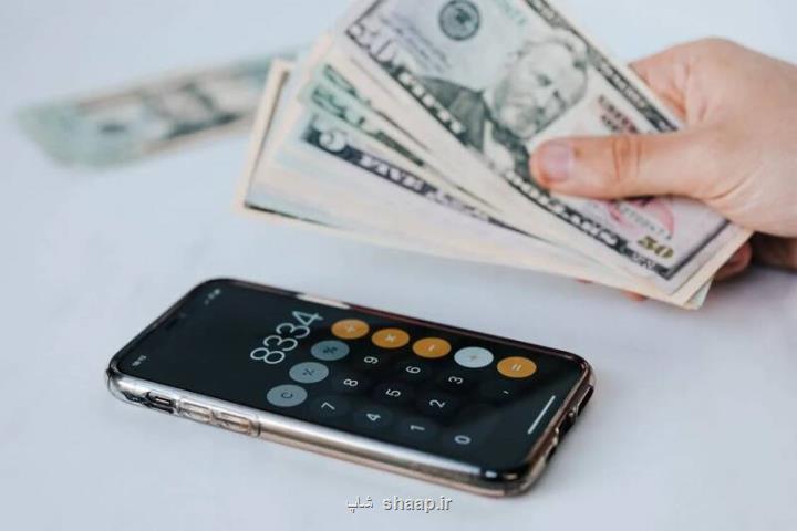 نرخ متغیر ارز منجر به کاهش ارزش پول ملی می شود