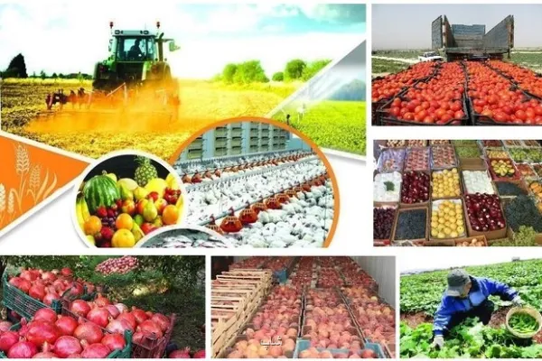 شناسنامه دار شدن 201 هزار واحد بهره برداری با اجرای نظام جامع رهگیری