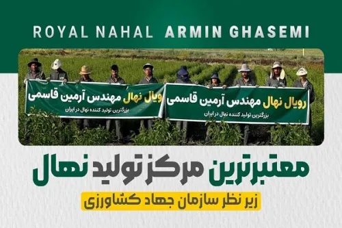 رویال نهال قطب تولید نهال در ایران