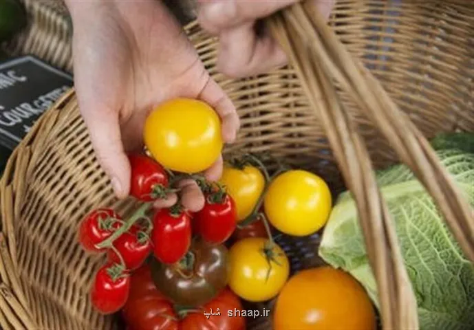 اخطار ۱۵۰ کارشناس درباره ی امنیت غذایی انگلیس