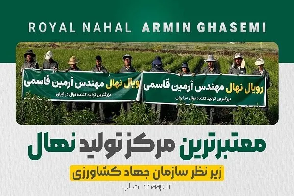 رویال نهال قطب تولید نهال در ایران