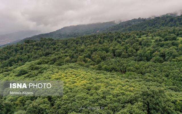 از مقابله با بیابان زایی تا تعدیل آب و هوا