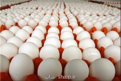 بازار تخم مرغ زیر ذره بین بازرسان