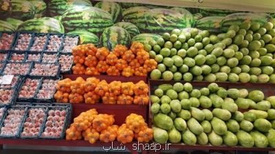 قیمت جدید انواع میوه و صیفی در میدان مركزی میوه و تره بار تهران