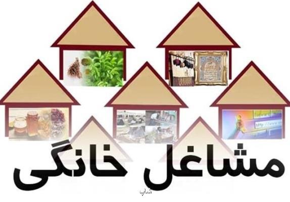 ثبت نام 1483 متقاضی لرستانی در طرح ملی توسعه مشاغل خانگی