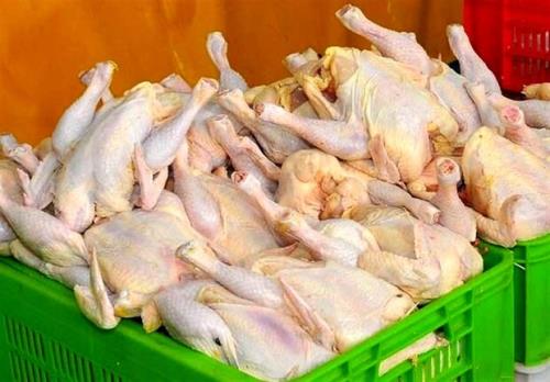 شروع عرضه مرغ با قیمت مصوب در میدان بهمن تهران