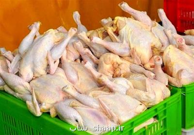 شروع عرضه مرغ با قیمت مصوب در میدان بهمن تهران